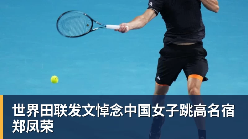 连喂大量白糖30天再突然断供!男子扮“蚂蚁天神”整蛊野生蚁群 - MK国际 - MK(中国)一站式体育服务官方网站