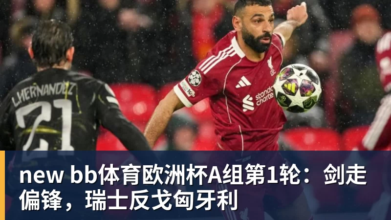 2026美网开赛｜郑钦文资格赛启程 14位中国选手出征！爱奇艺体育全程直播 - MK国际 - MK(中国)一站式体育服务官方网站