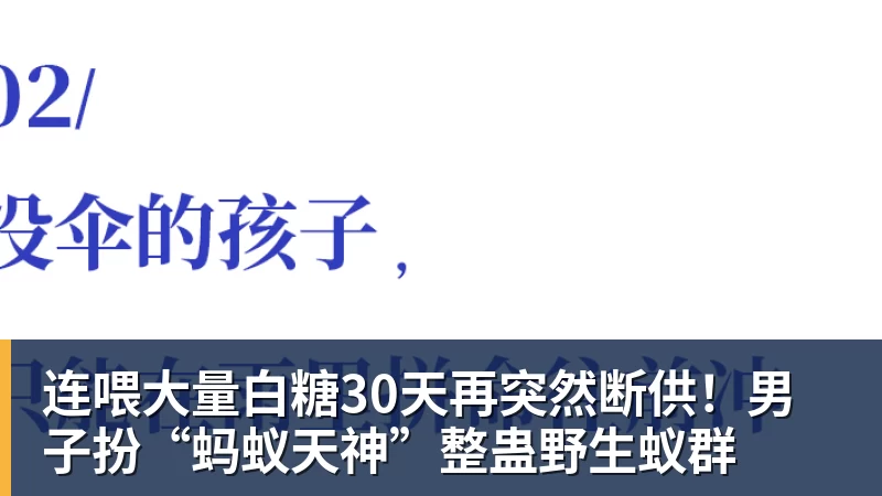 盖尔·加朵新片《生死奔救》口碑扑街，创生涯最低分 - MK国际 - MK(中国)一站式体育服务官方网站